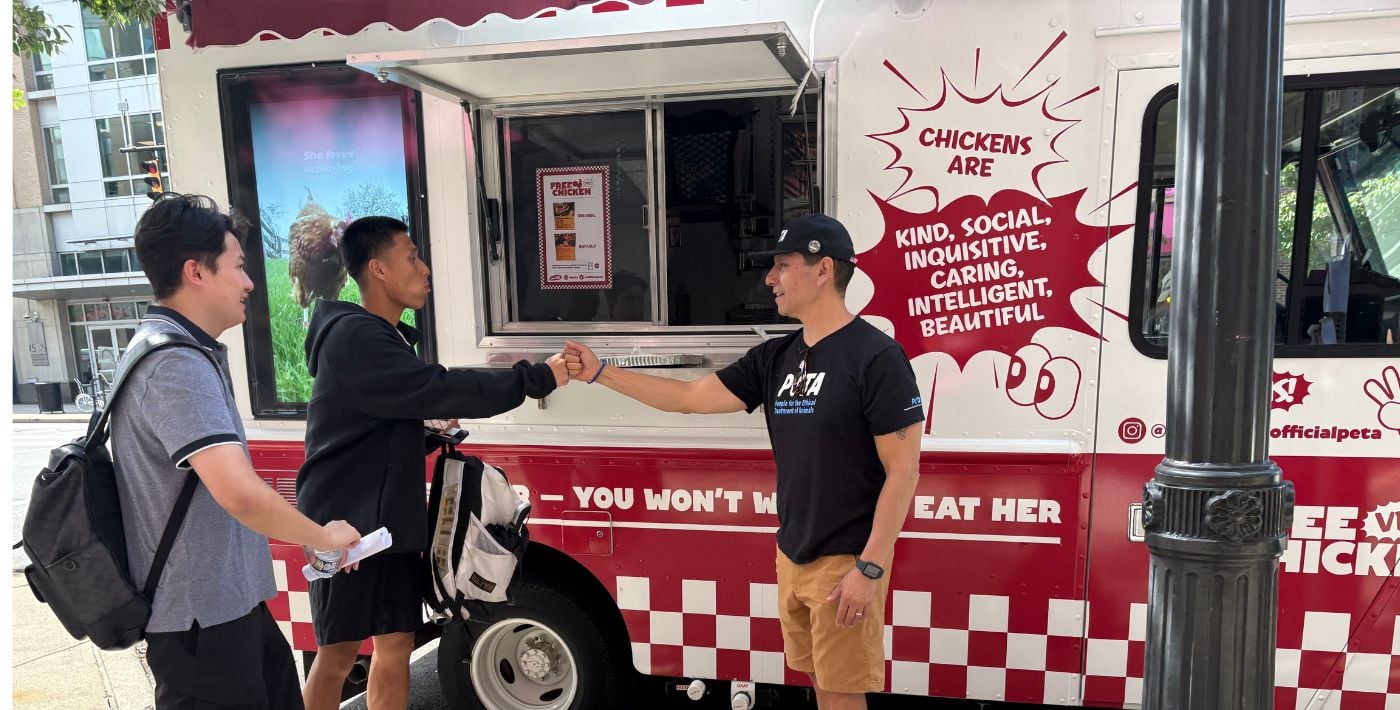Free the Chicken Truck demo