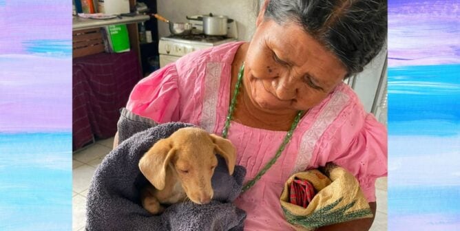 Woman holding a tiny dog wrapped in a towel