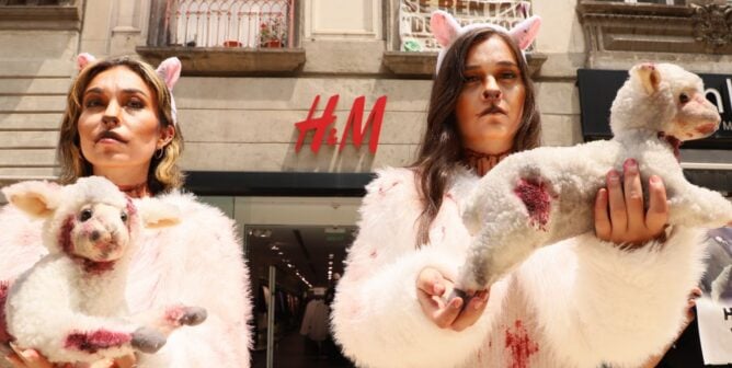 H&M demonstration featuring plush sheep and two people dressed in costumes