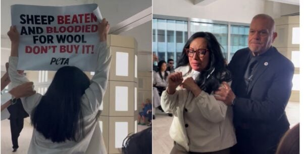 Demonstrator holding up a sign before being dragged away