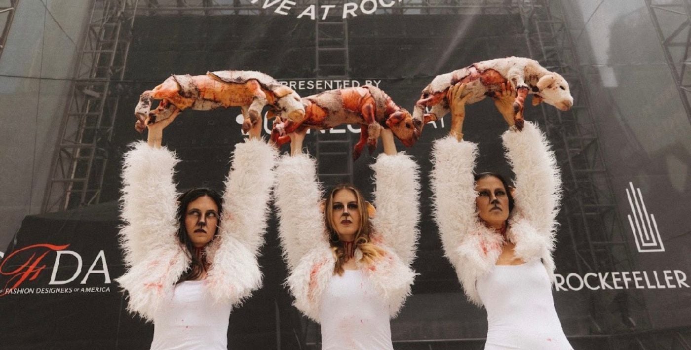 Sheep demo for New York Fashion Week