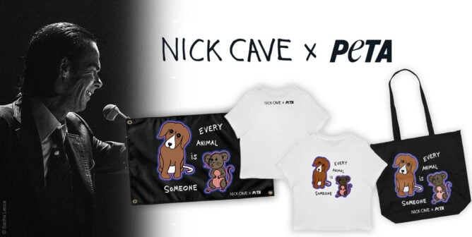 Nick Cave X PETA merch collaboration