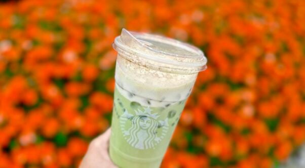 vegan starbucks banana bread matcha latte with non-dairy brown sugar cold foam and pumpkin spice topping