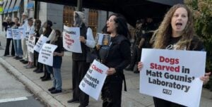 Protestors holding signs
