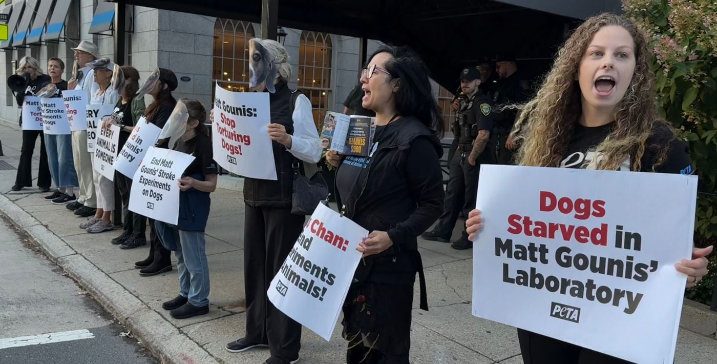 Protestors holding signs