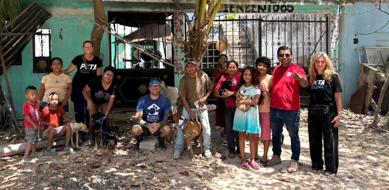 What I Saw at PETA’s 18th Spay/Neuter Clinic in Cancun