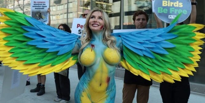 Courtney Stodden body-painted as a parakeet for a demo outside Petco protesting the treatment of oarakeets