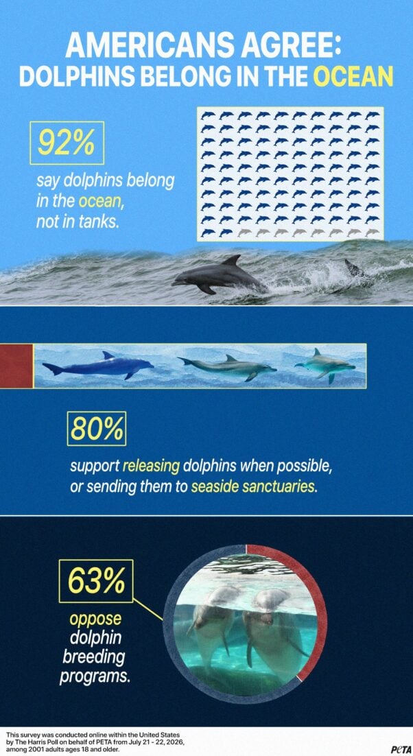 An infographic displaying statistics from a PETA-commissioned Harris Poll on dolphin captivity