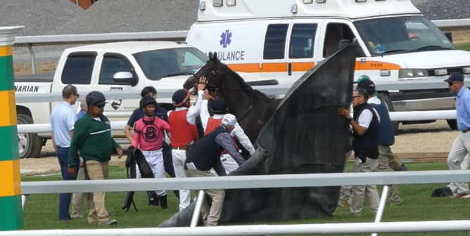 Heat Missile suffers a fatal breakdown at Belmont Park.