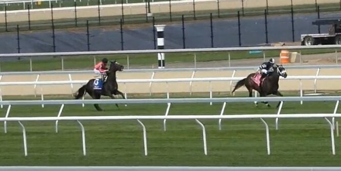 Heat Missile suffers a fatal breakdown at Belmont Park