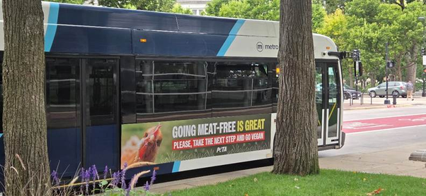 going meat-free is great ad on bus in Madison, Wisconsin