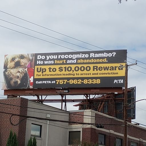 New Norfolk, VA Beach Displays Push $10,000 Reward to Find Monster Who Battered Yorkie Named Rambo