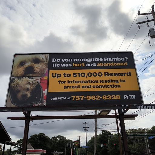 New Norfolk, VA Beach Displays Push $10,000 Reward to Find Monster Who Battered Yorkie Named Rambo