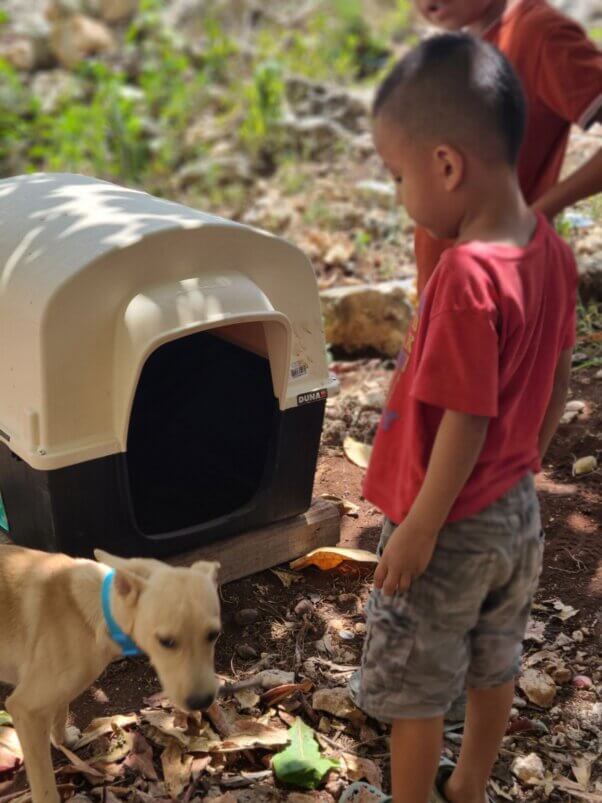 Ramiro and guardian check out his new doghouse.
