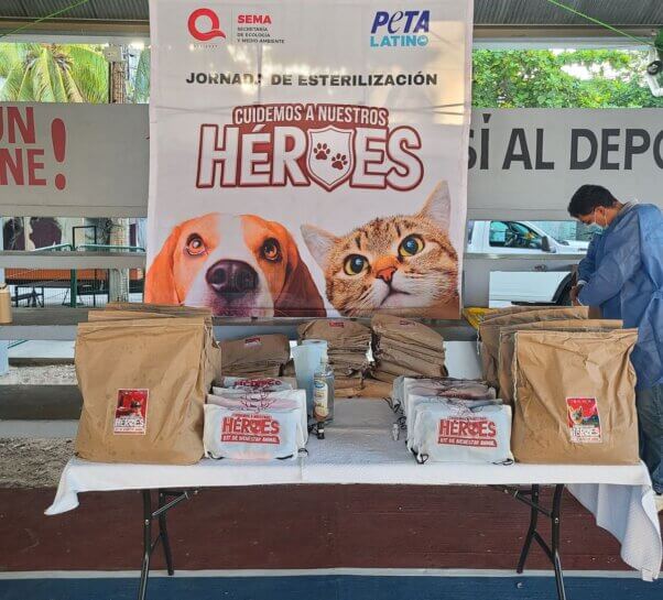 Display of animal supplies at PETA's spay/neuter clinic in Cancun.