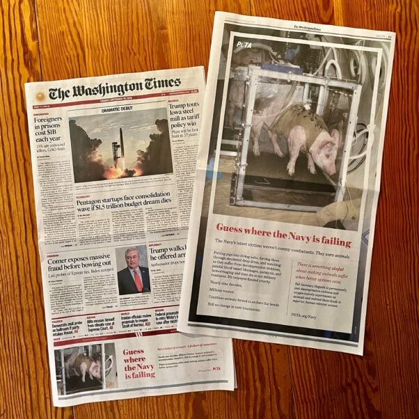Newspaper photos