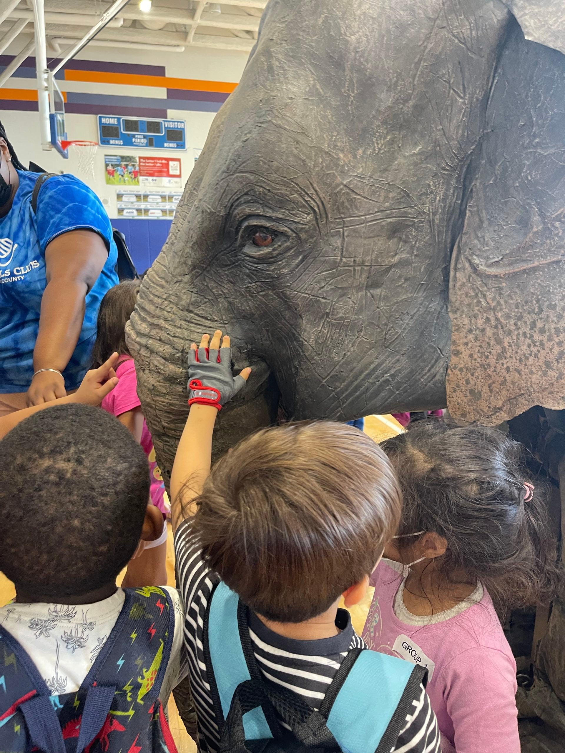 The Elephant in the Classroom Turns 10: PETA’s Ellie Marks a Decade on the Road