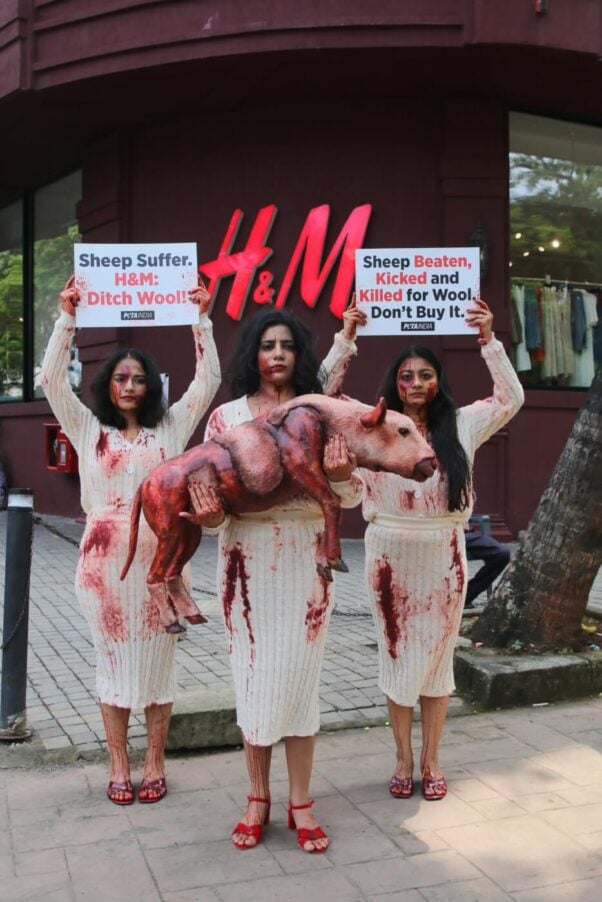 Demonstrators holding 'sheep'