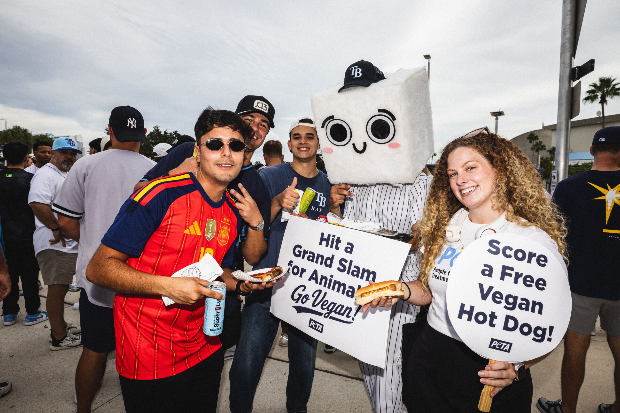 Baseball demo with Tommy Tofu