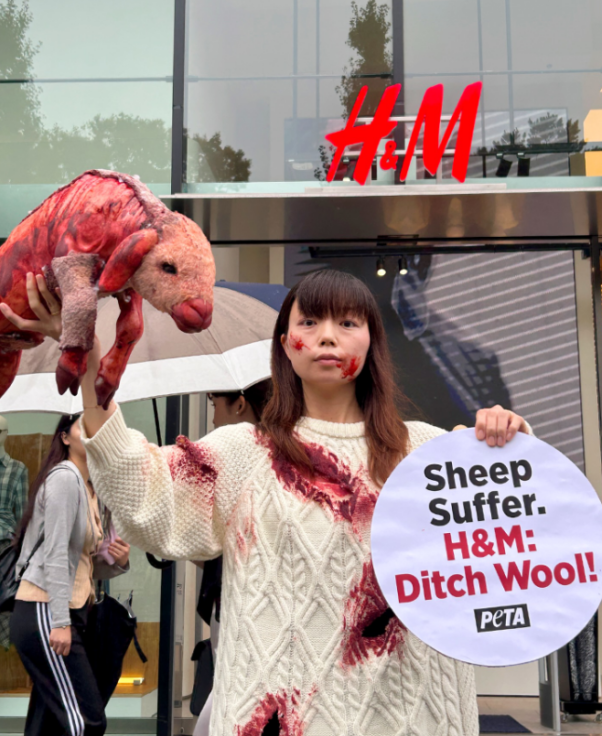 Demonstrator holding 'sheep'