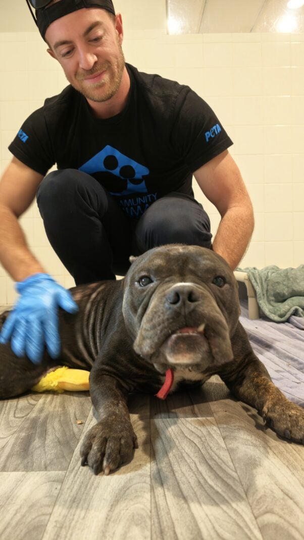 Fieldworker helping Dior