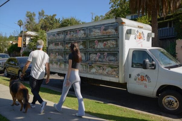 hell on wheels turkey truck
