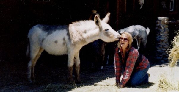 Kim Novak getting a kiss from a donkey