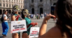 Two supporters dressed as alligators