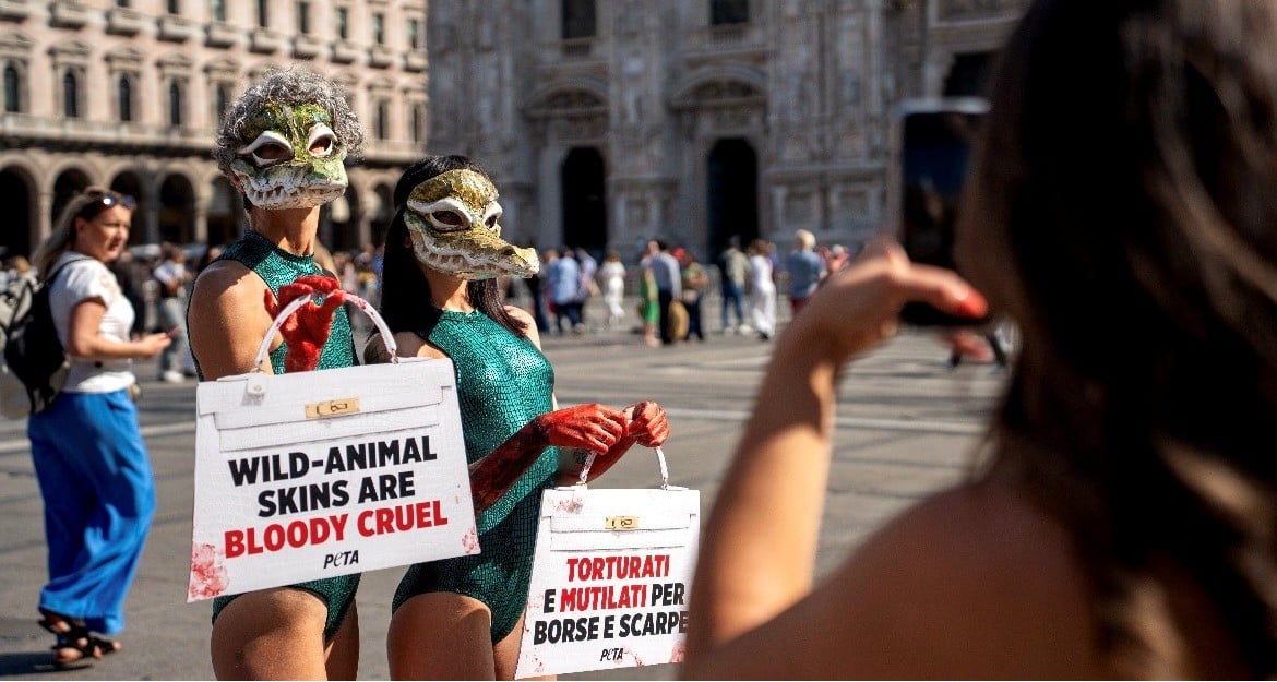 Two supporters dressed as alligators