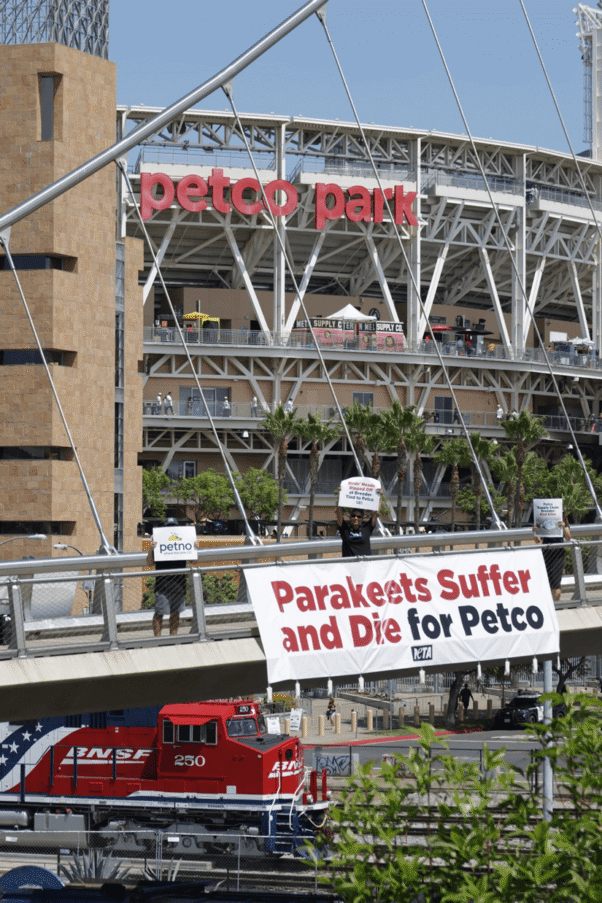 Banner at Padres versus Pirates reading "Parakeets Suffer and Die for Petco."