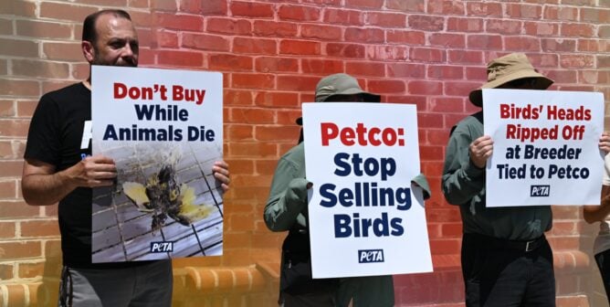 Demonstrators holding signs