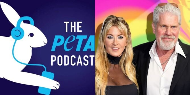 Ron Perlman and Allison Dunbar alongside the PETA podcast logo