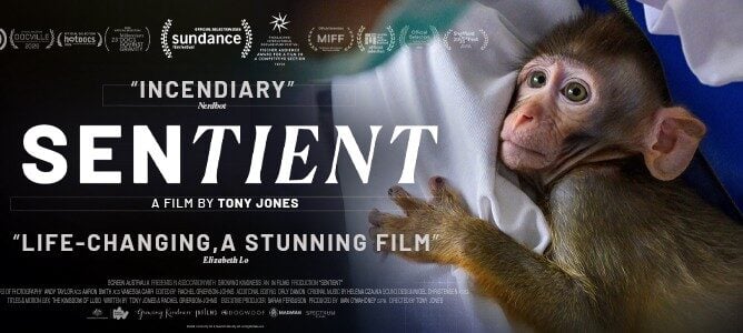 Movie poster for Sentient