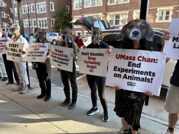 UMass Chan demo photo